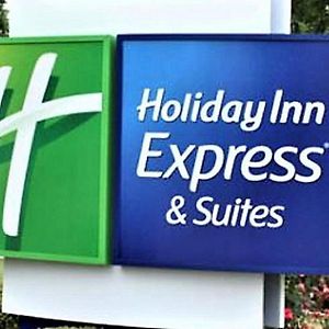 Holiday Inn Express & Suites - Detroit - Dearborn, An Ihg Hotel